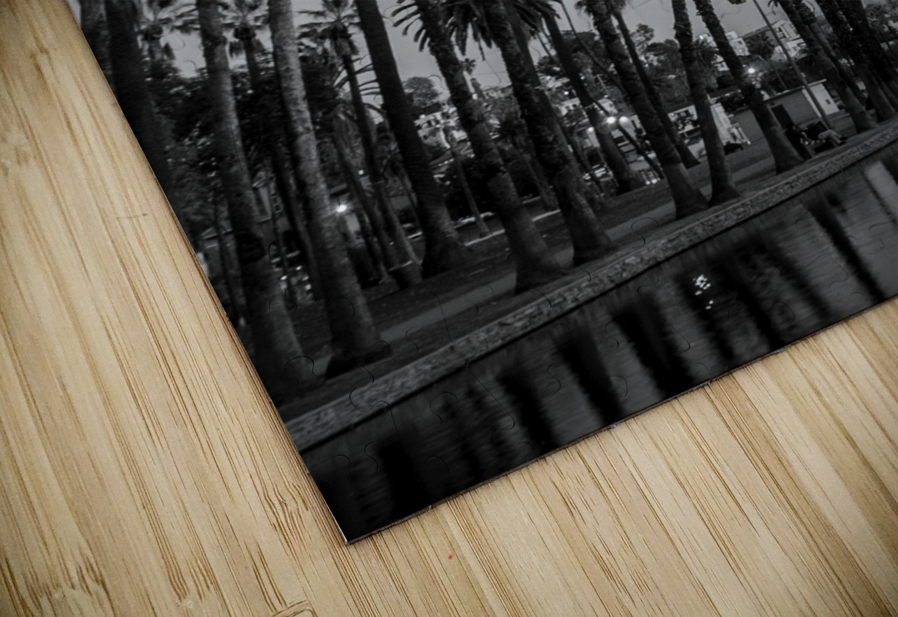 tall palm trees echo park  vertical 2182 Montrose Black And White Puzzle