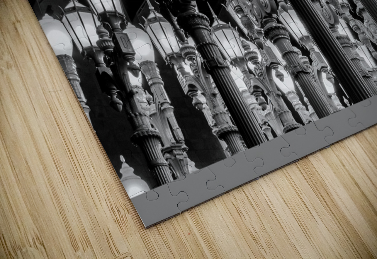 urban lights at LACMA  horizontal 2759 Urban 13k. Black And White Puzzle