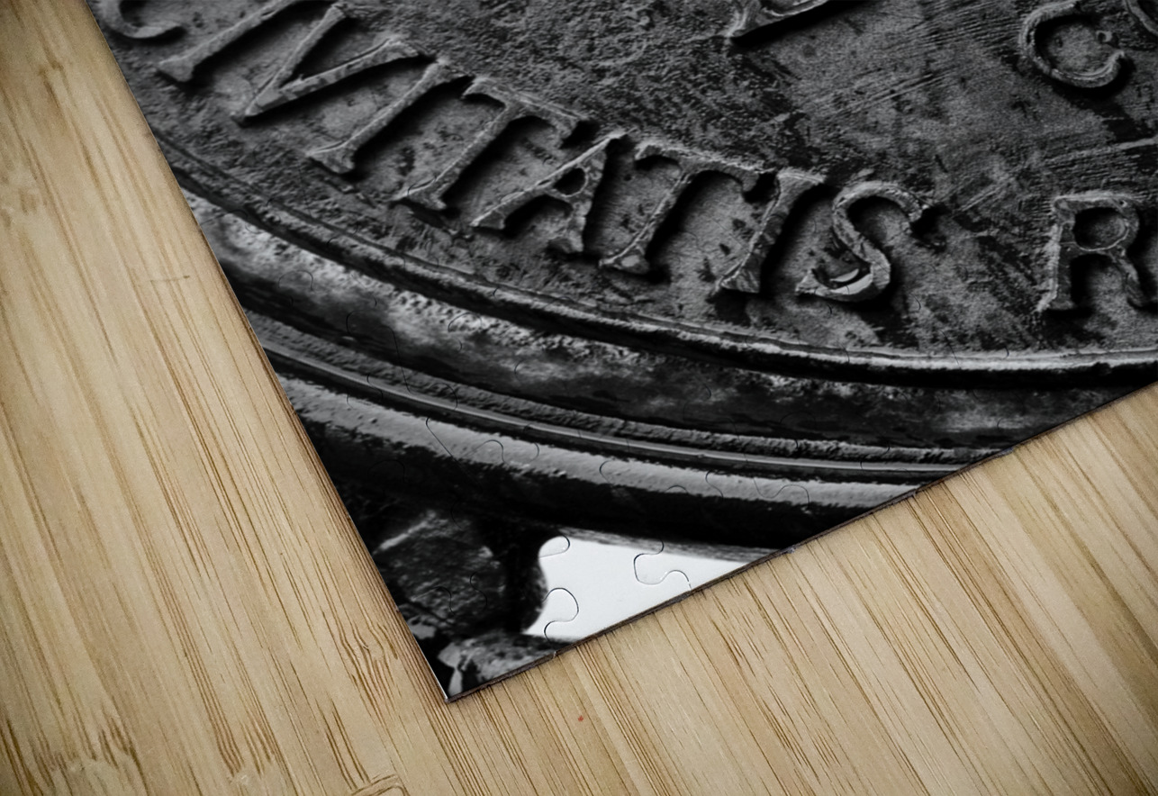 seal of boston public garden gates  vertical 1371 Black And White Puzzle