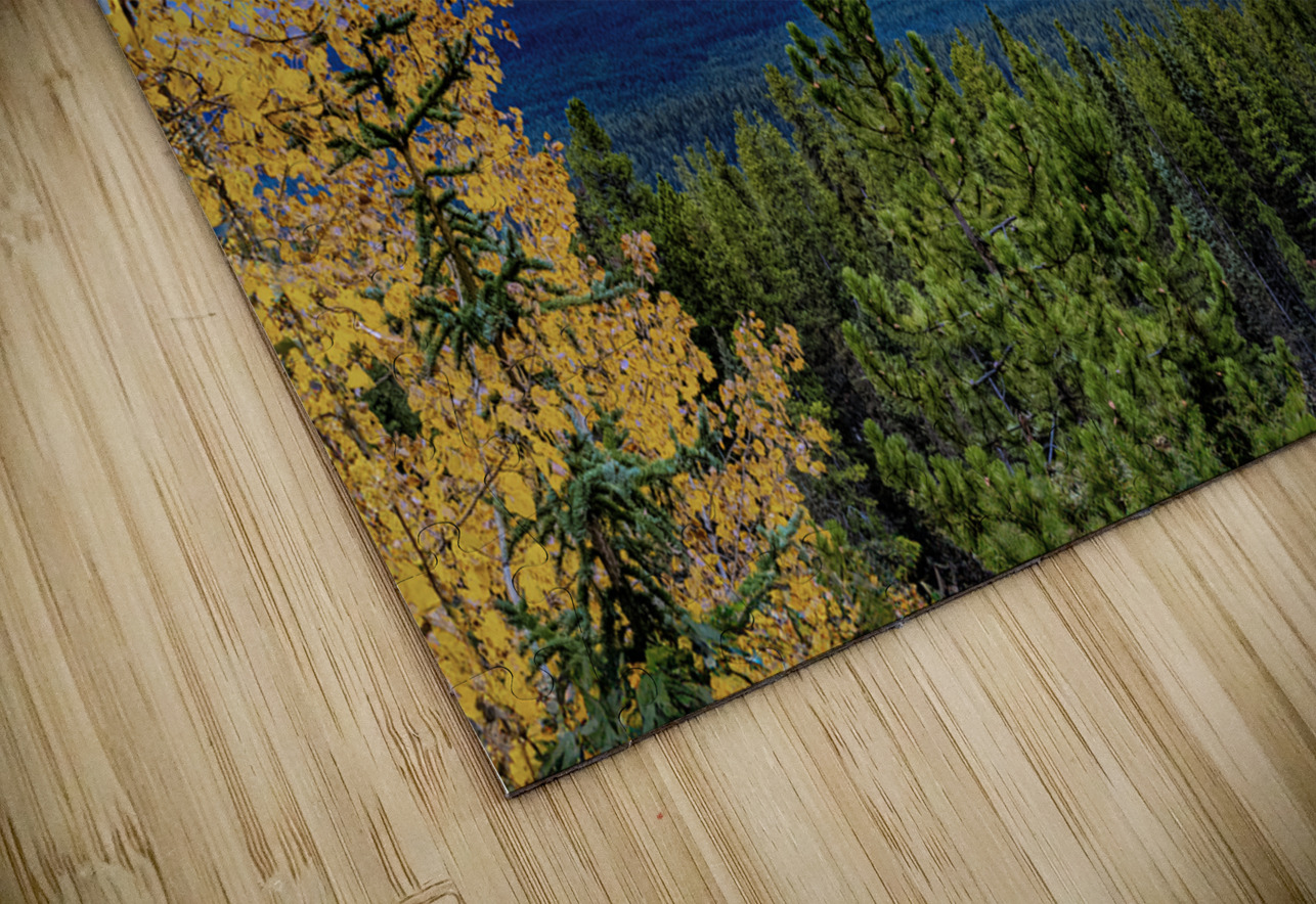 Little Temple Larches Geoffrey Prior Puzzle