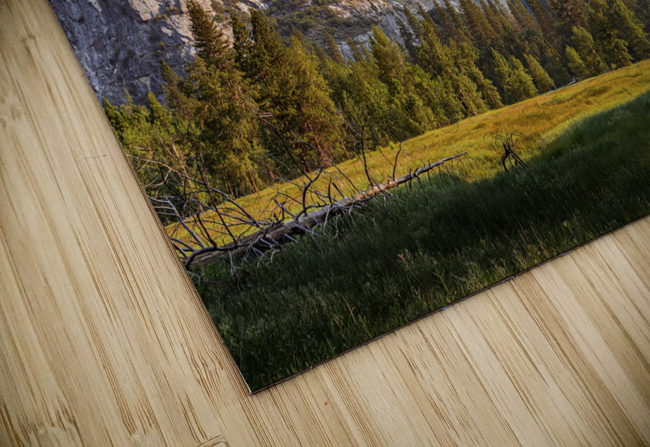 Yosemite Falls Morning  Geoffrey Prior Puzzle