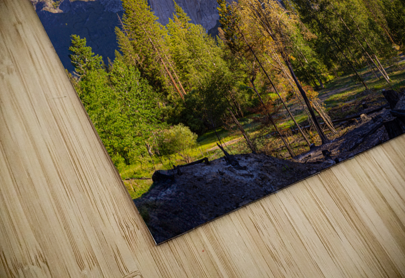 Big Stone Geoffrey Prior Puzzle