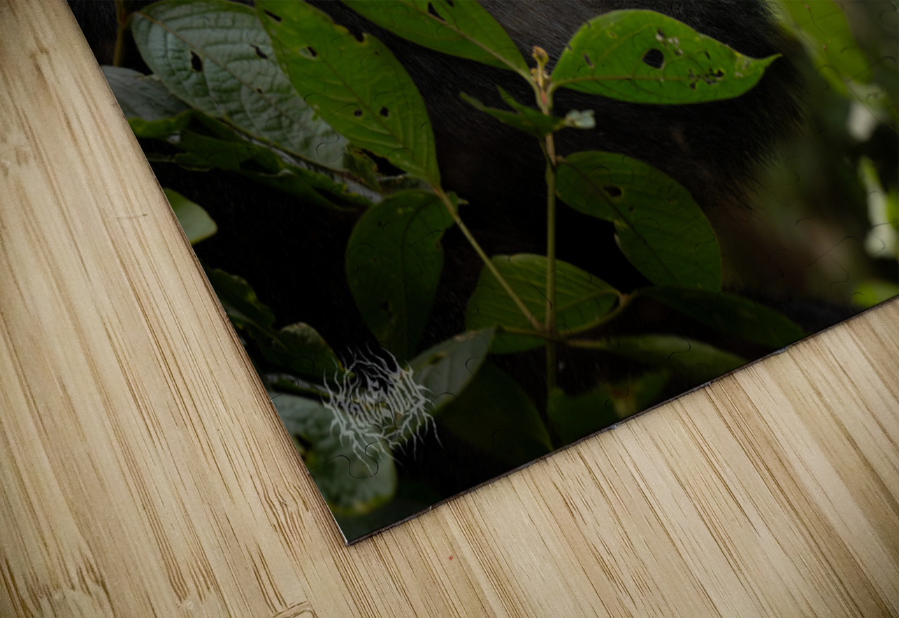 Lookin to Sky to Save Me Nate Solo Puzzle