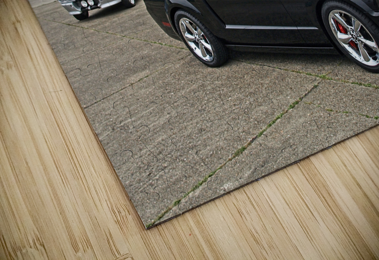 Three Generations  Gill Billington Puzzle