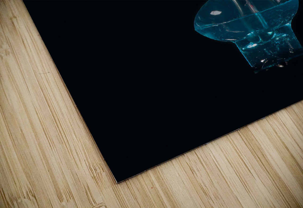 MIS 01933 John Walborn Promenade Photos Puzzle