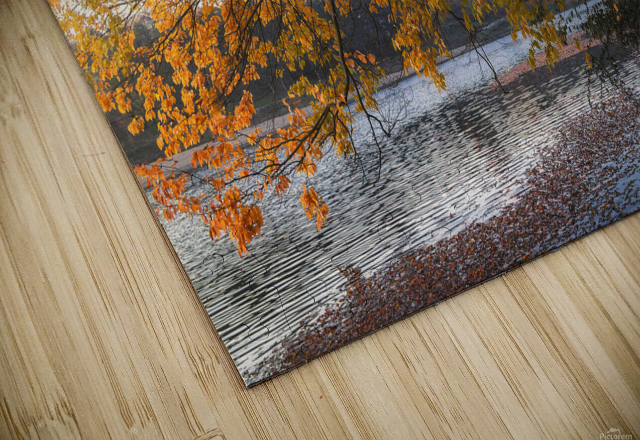 Here comes the autumn on the small lake Dejan Travica Puzzle