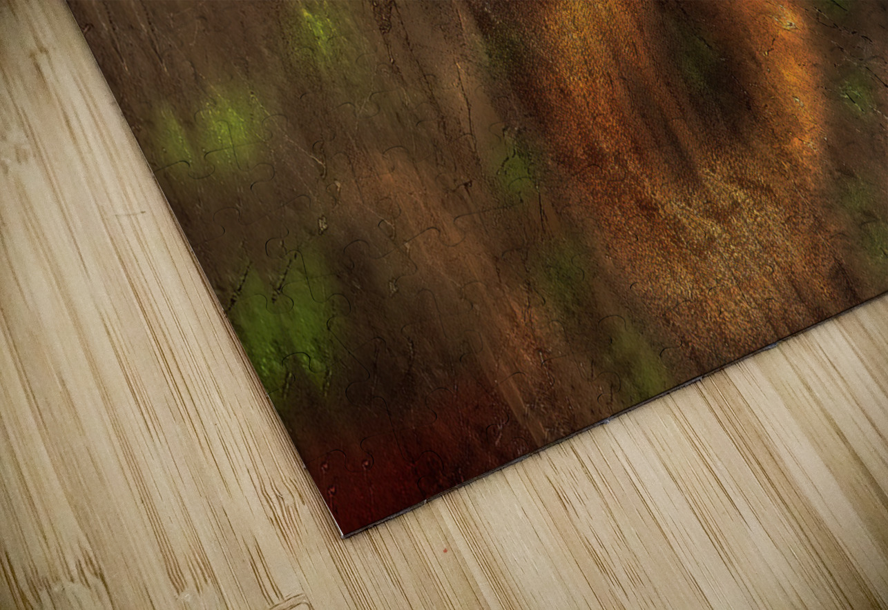 ABS 02020 John Walborn Promenade Photos Puzzle