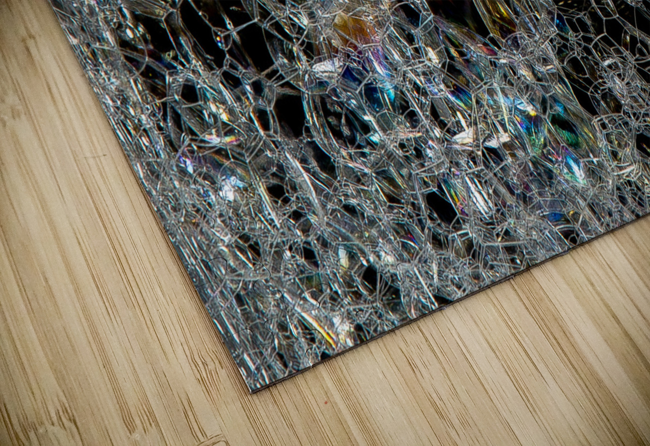 ABS 02027 John Walborn Promenade Photos Puzzle