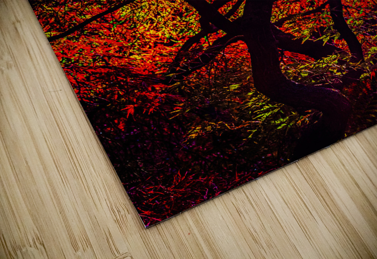 ABS 02014 John Walborn Promenade Photos Puzzle