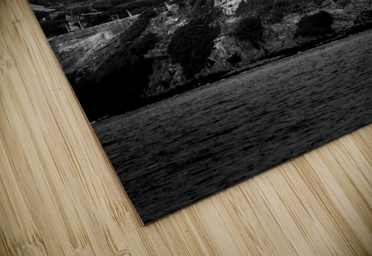 alcatraz island san francisco bay  vertical 2842 Black And White Puzzle