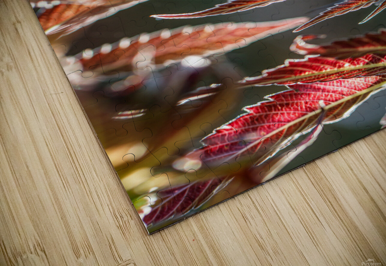 Ruby red fans Heather Marie Clark Puzzle