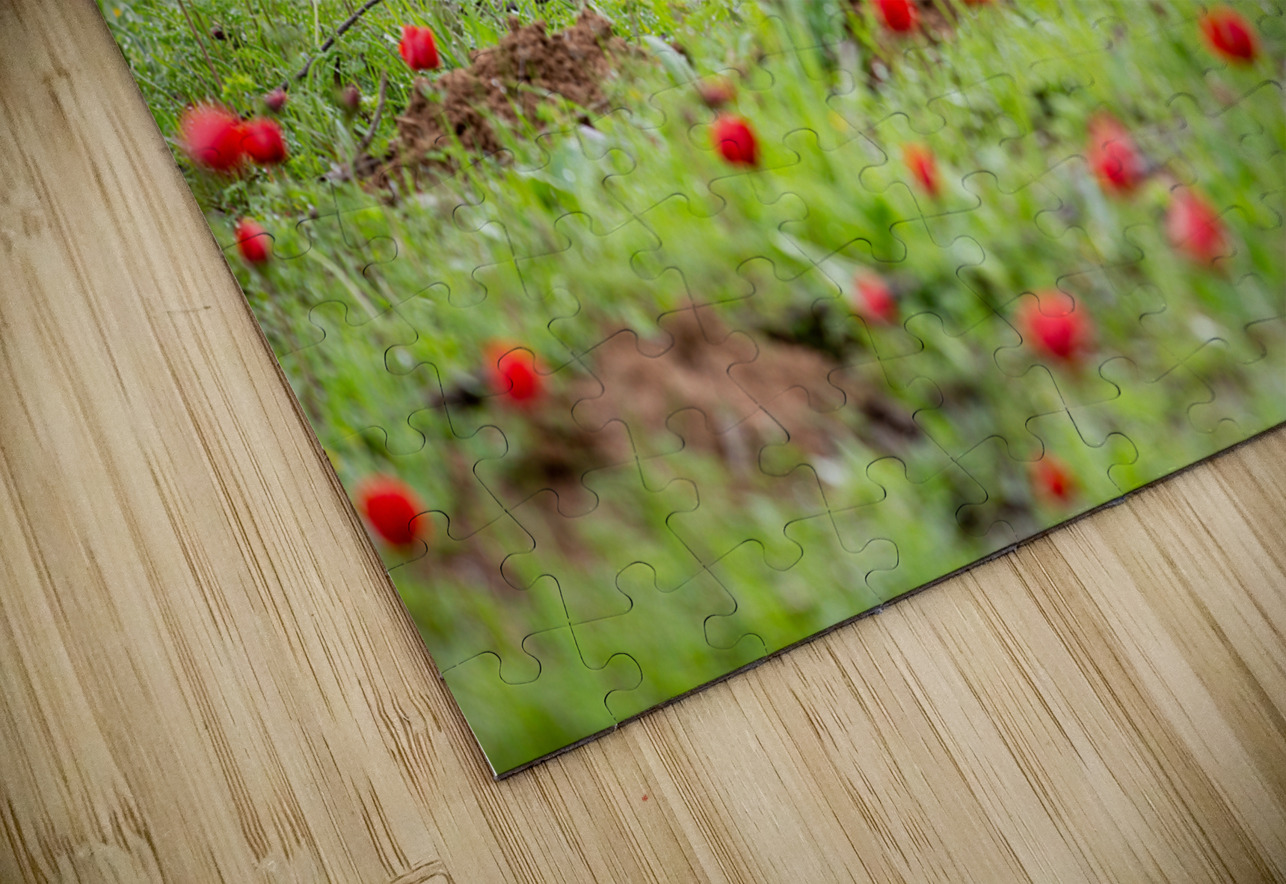 PIC12807 YoelKoskasFineArt Puzzle