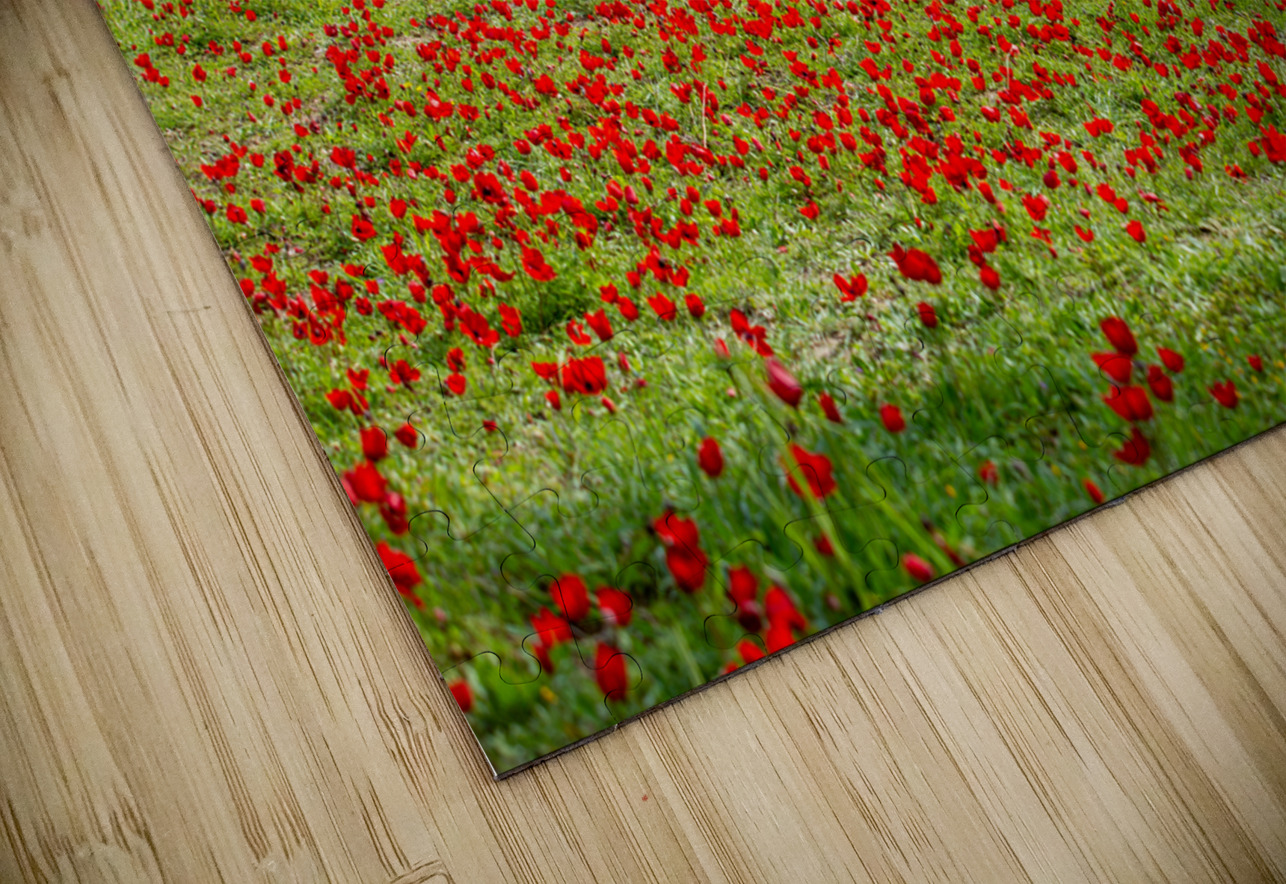 PIC12981 YoelKoskasFineArt Puzzle