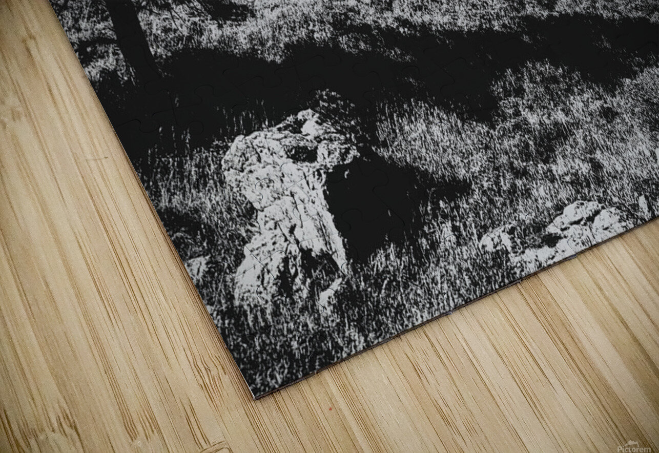 The Sky Cracked Open Ell Cee Puzzle