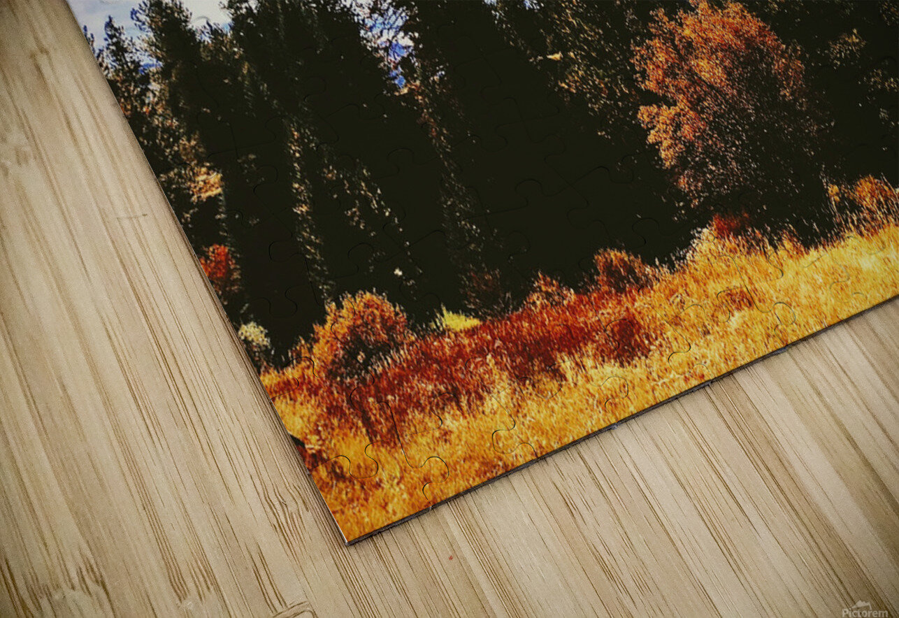 Pumpkin Vibes Ell Cee Puzzle