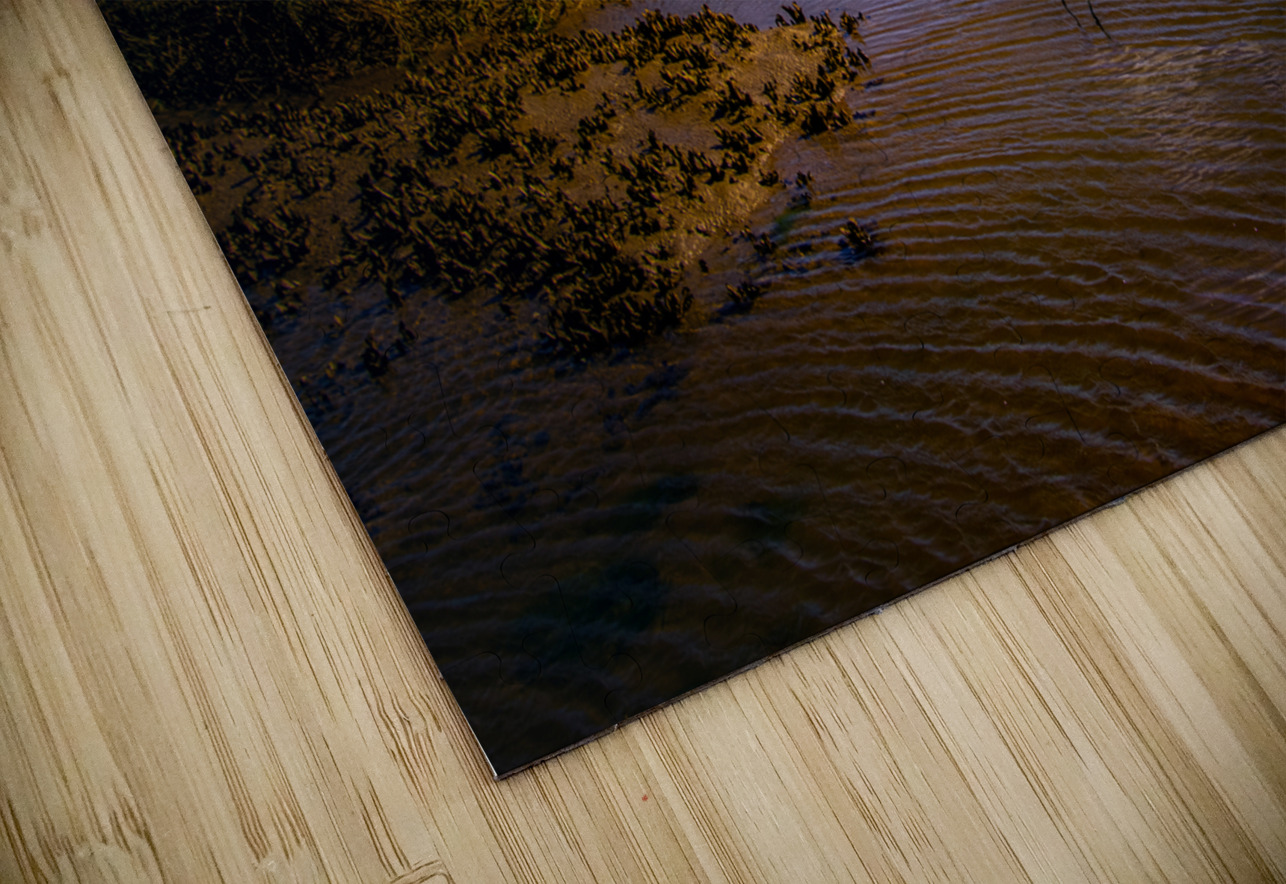 South Carolina  Marsh Heron Sunrise Norma Brandsberg Photography Puzzle