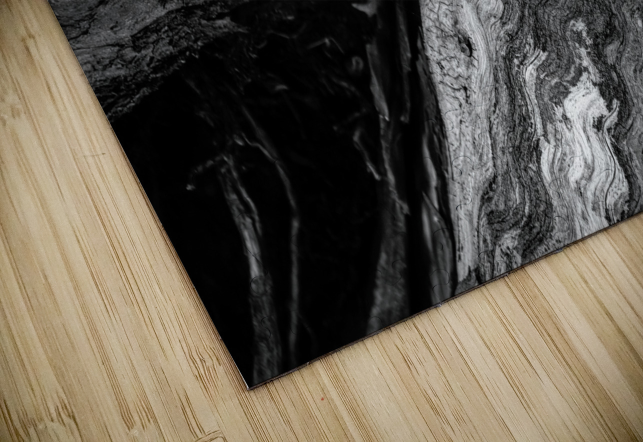 Abstract  Bald Cypress Tree Root Patterns in Black and White Norma Brandsberg Photography Puzzle