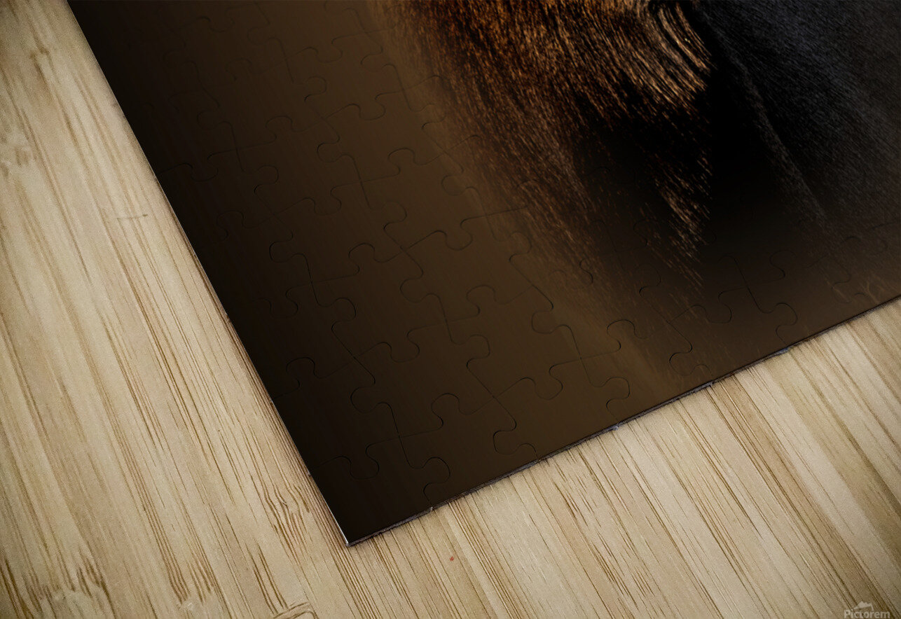 My Eyes Are Down Here B Zolle Puzzle