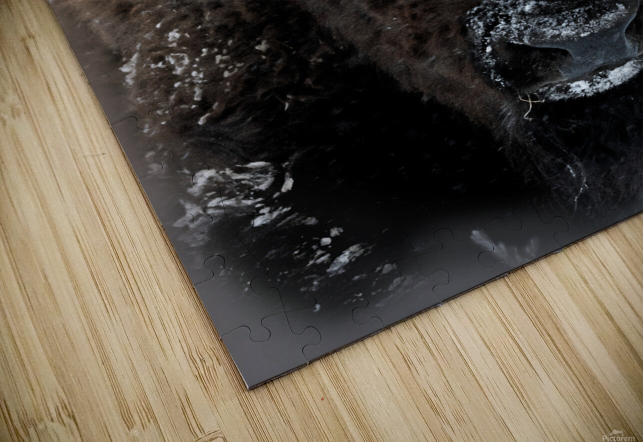 Warm Winter Coat  B Zolle Puzzle