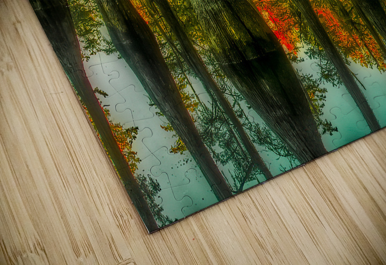 LAN 02090 John Walborn Promenade Photos Puzzle