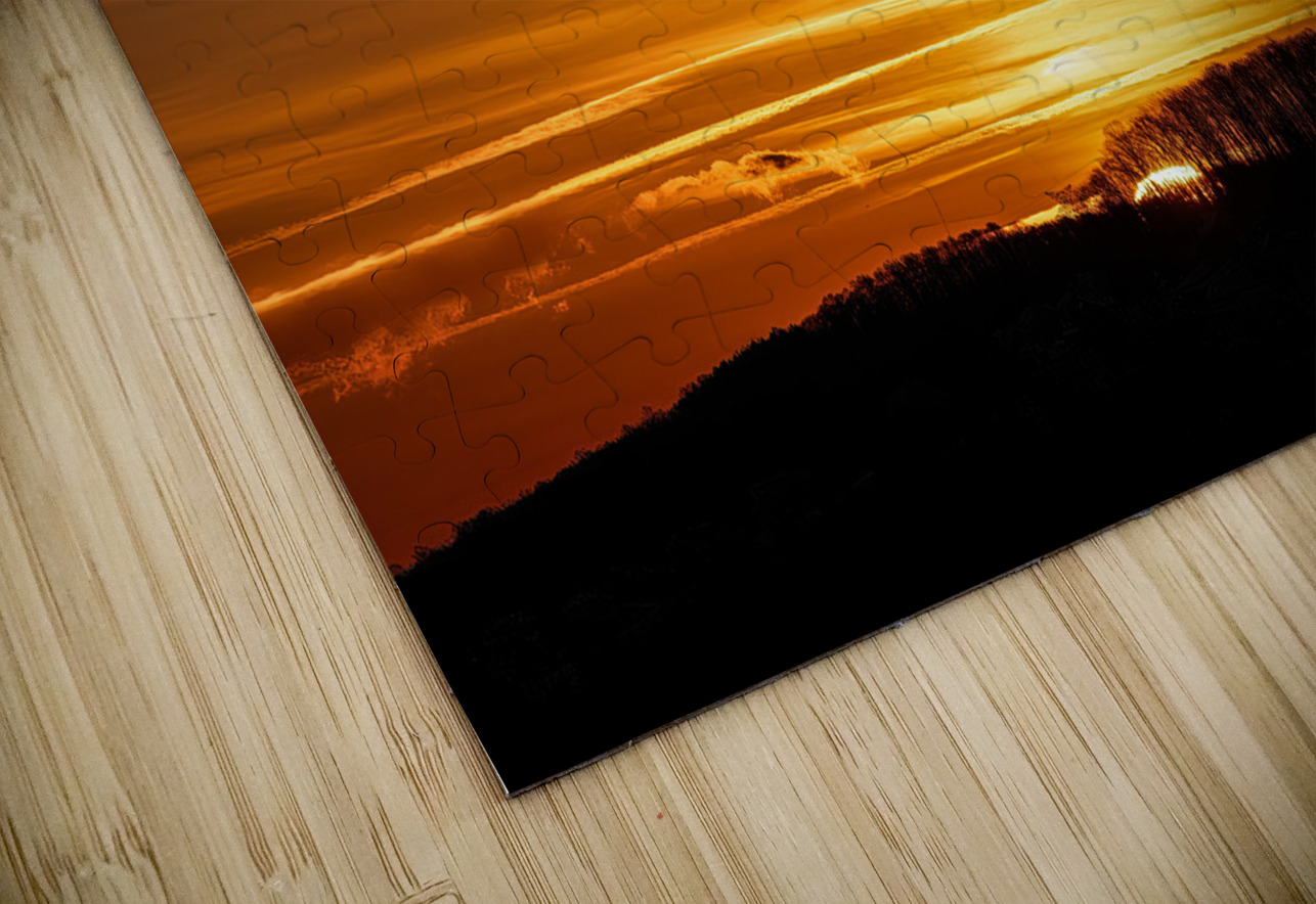 LAN 02069 John Walborn Promenade Photos Puzzle