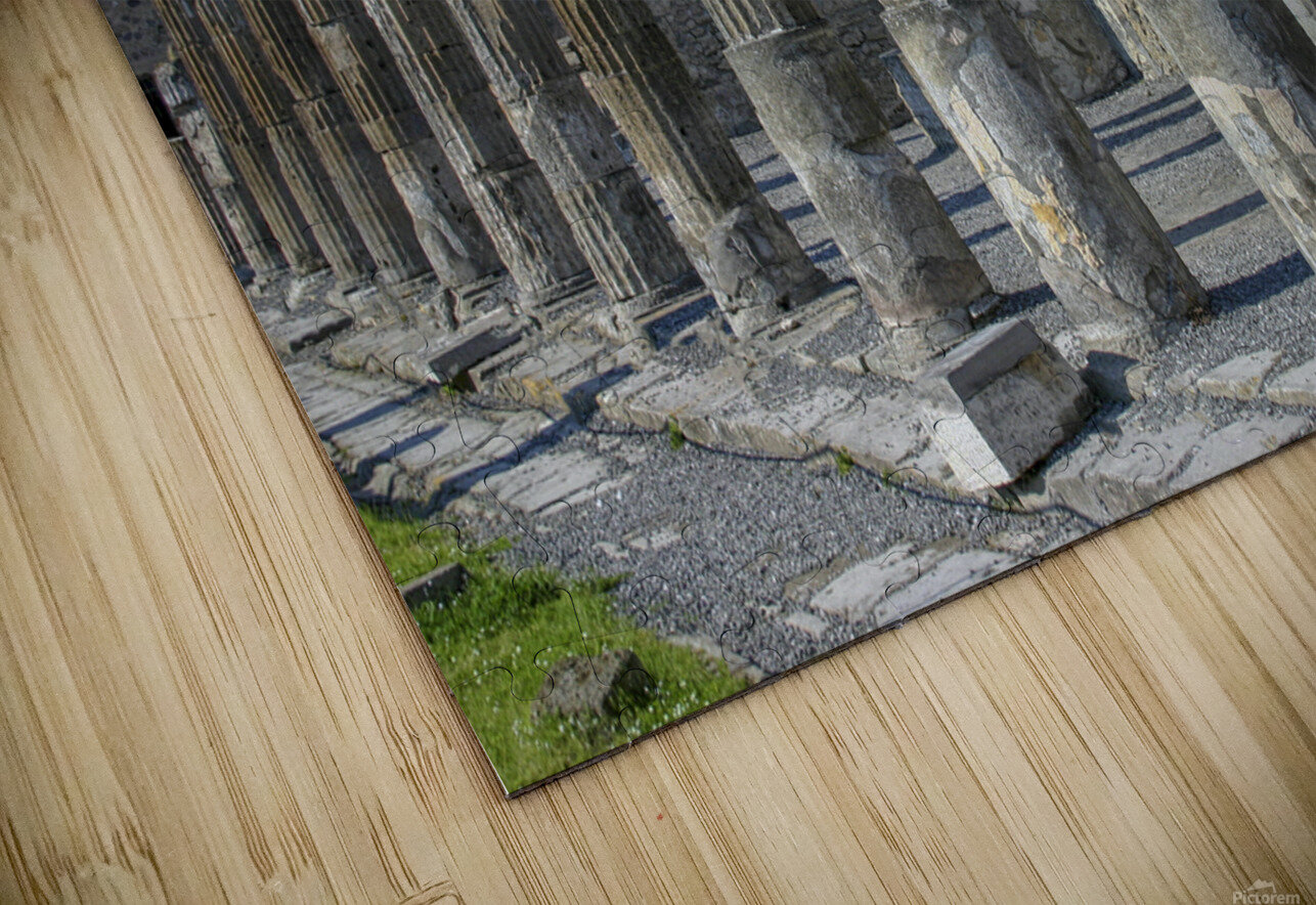 Apollo statue Patricia Hofmeester PHotography Puzzle