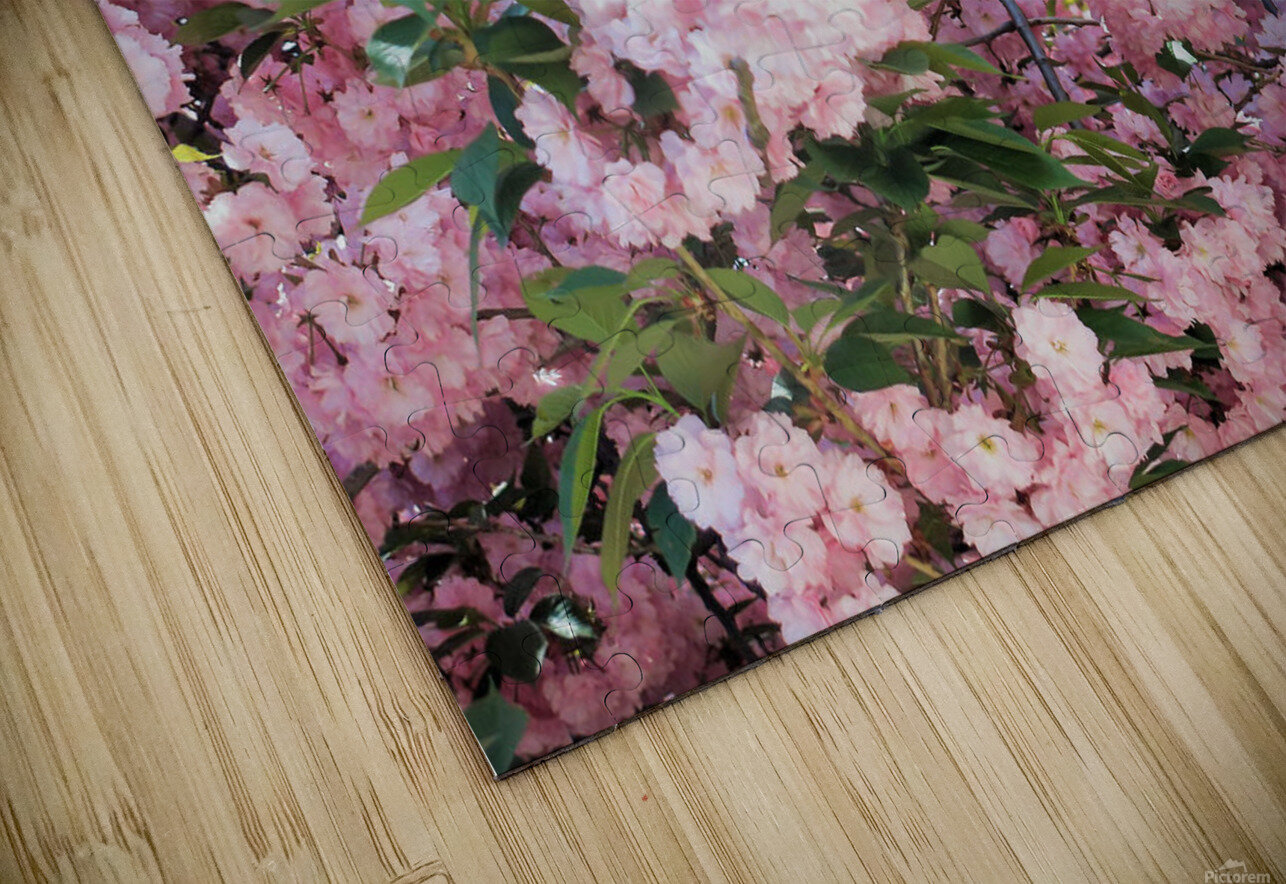 Cherry Blossoms Bob McCulloch Puzzle