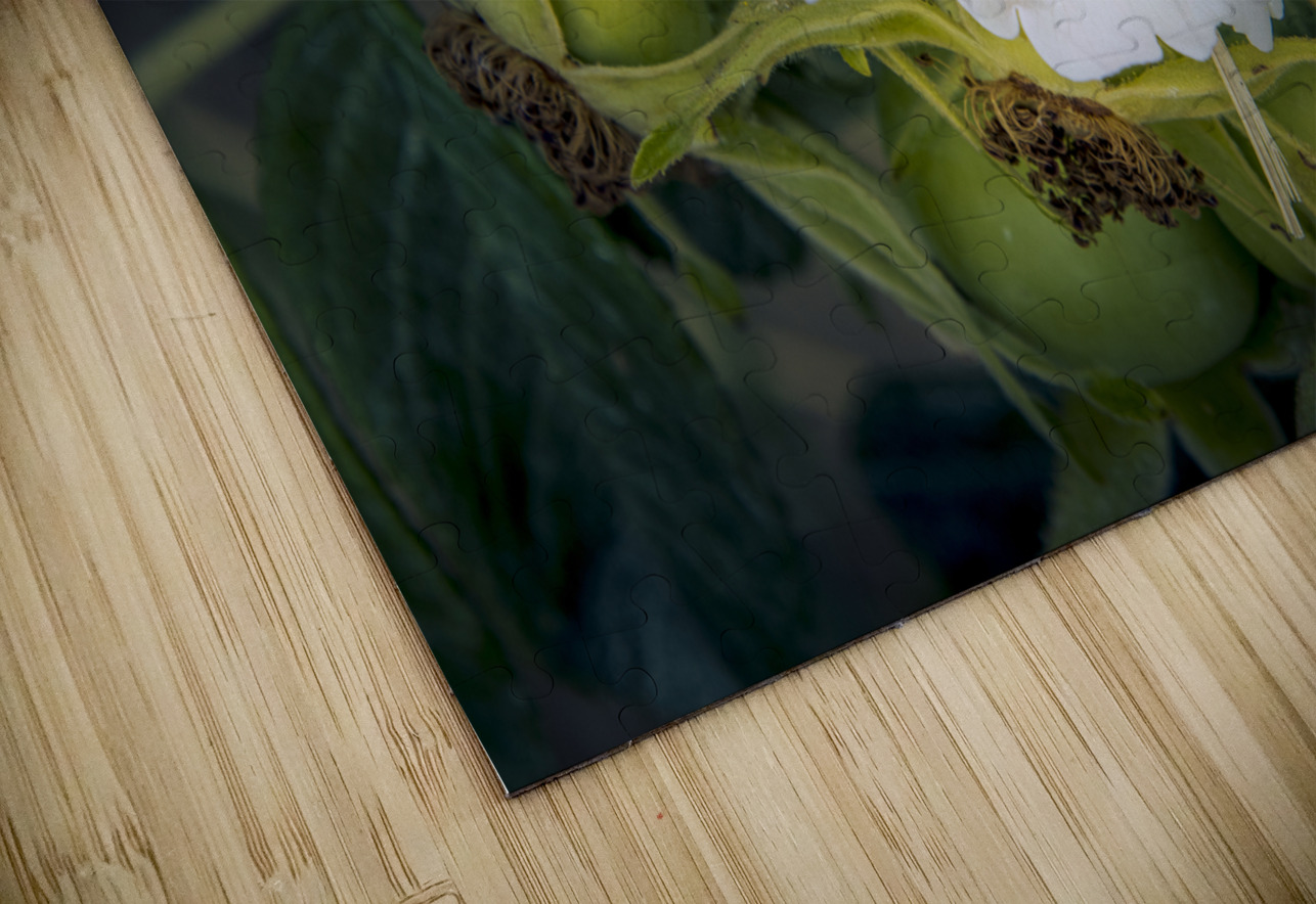 French Normandy Coastline Rose Hips Norma Brandsberg Photography Puzzle