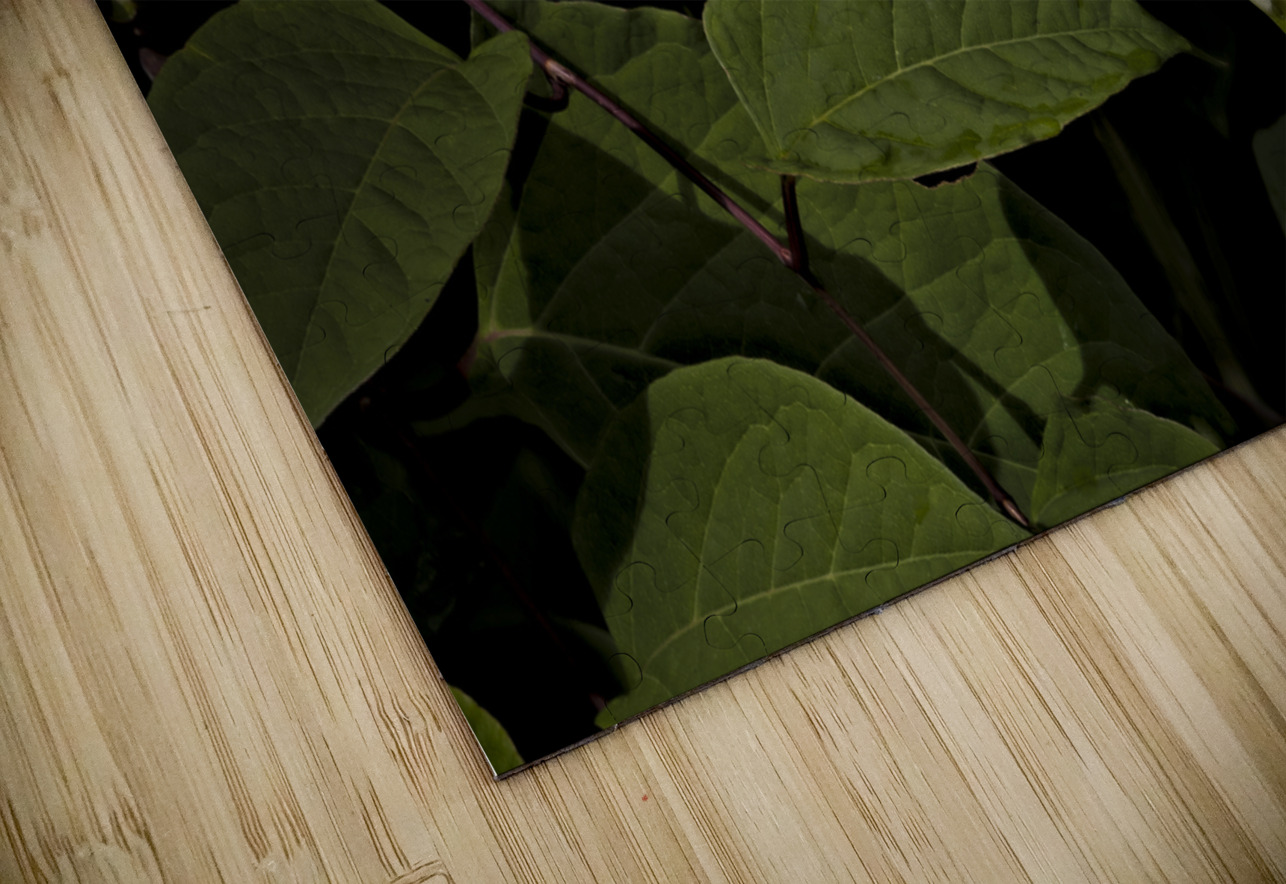 One White Calla Lily  Norma Brandsberg Photography Puzzle