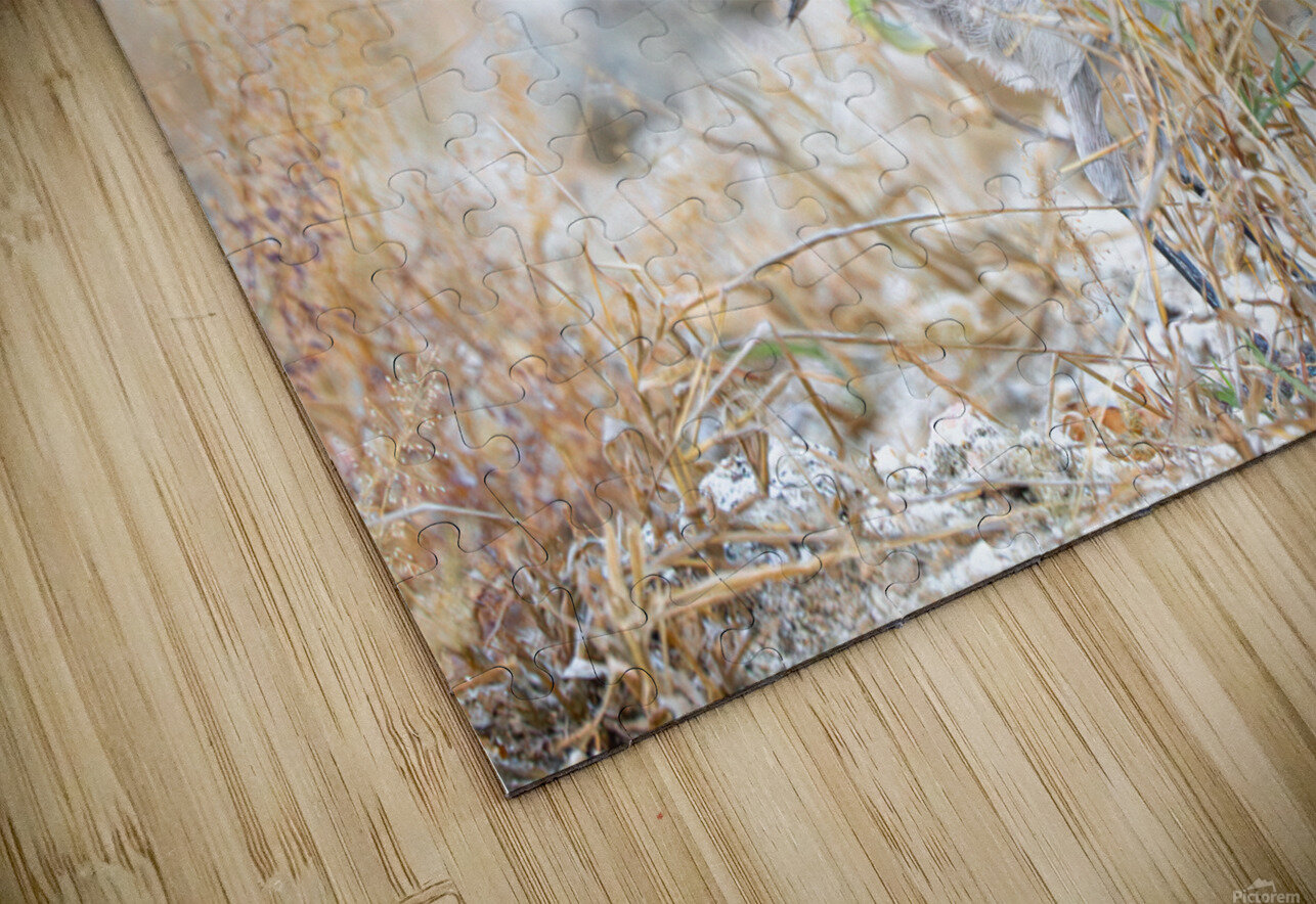 DSC00890 Luisa Torre Puzzle