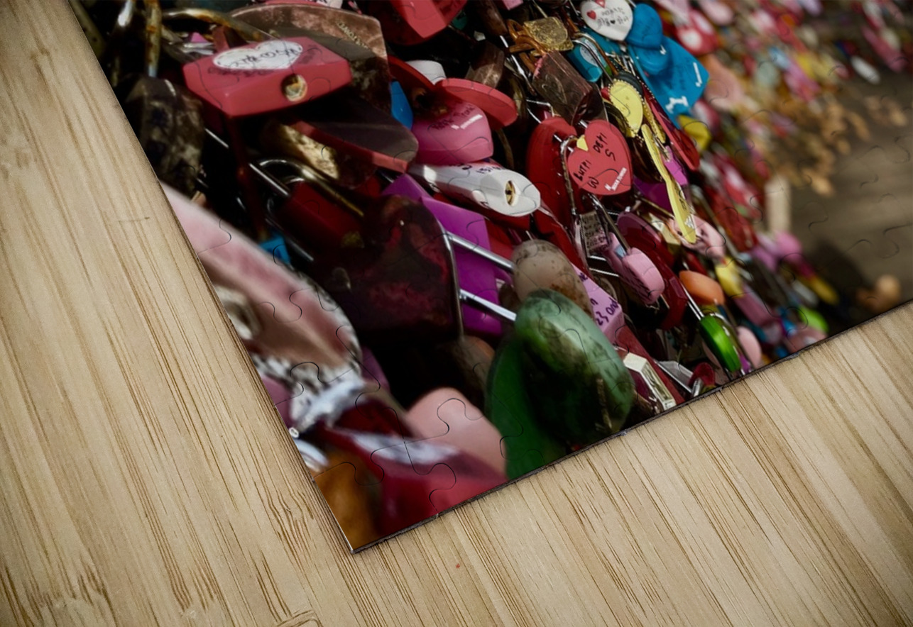 Love Locks Alyssa Rae Puzzle