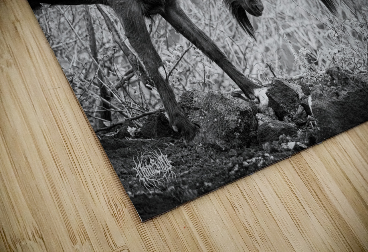 There Can Be Only One Nate Solo Puzzle