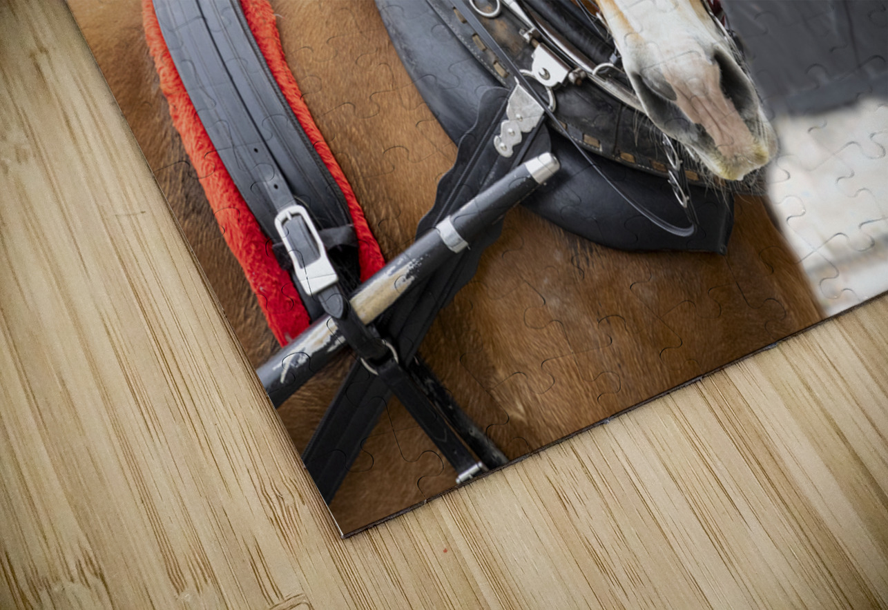 Charleston Rainbow Row Carriage and  Horse  Norma Brandsberg Photography Puzzle