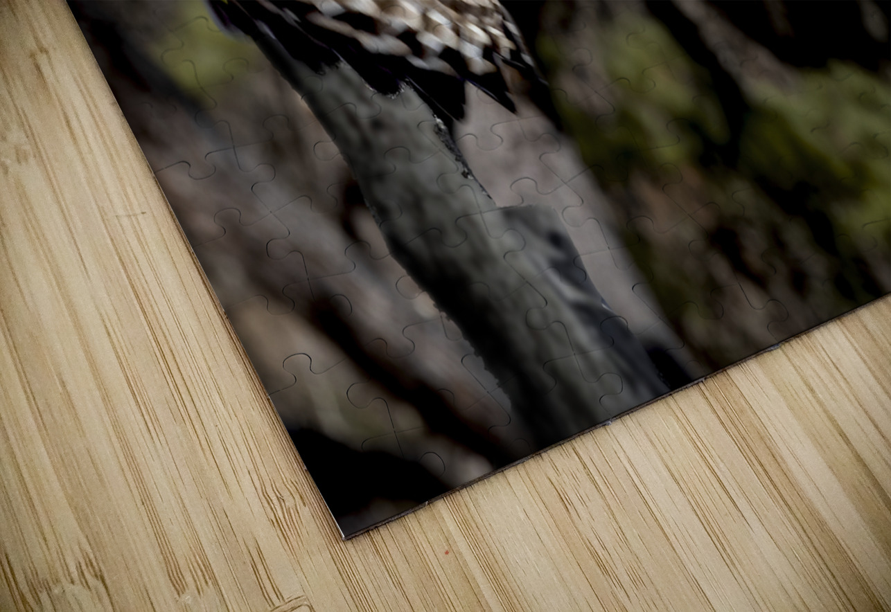 Avian Center for Birds of Prey South Carolina Norma Brandsberg Photography Puzzle