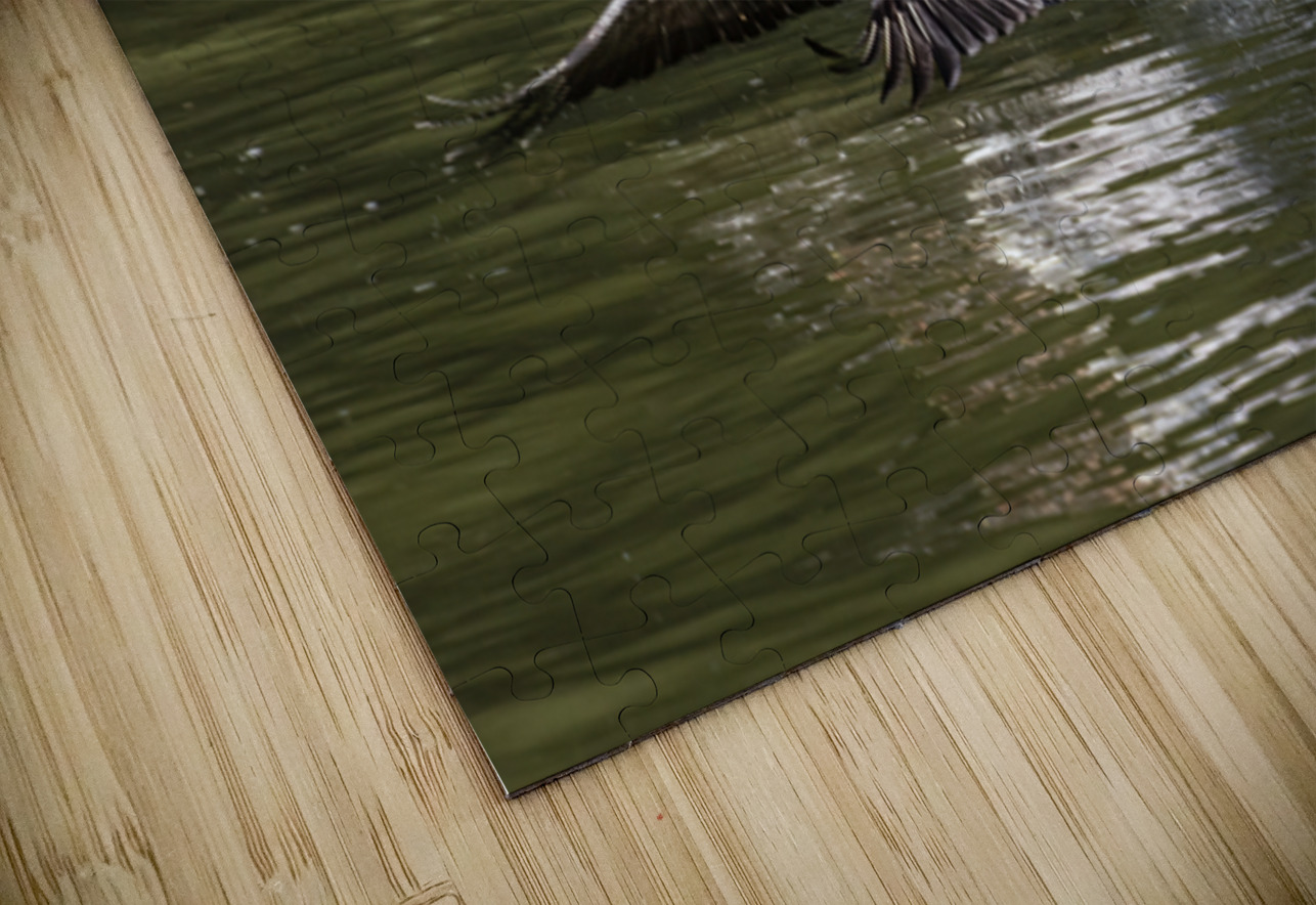 Pelican Coming in for a Landing Norma Brandsberg Photography Puzzle