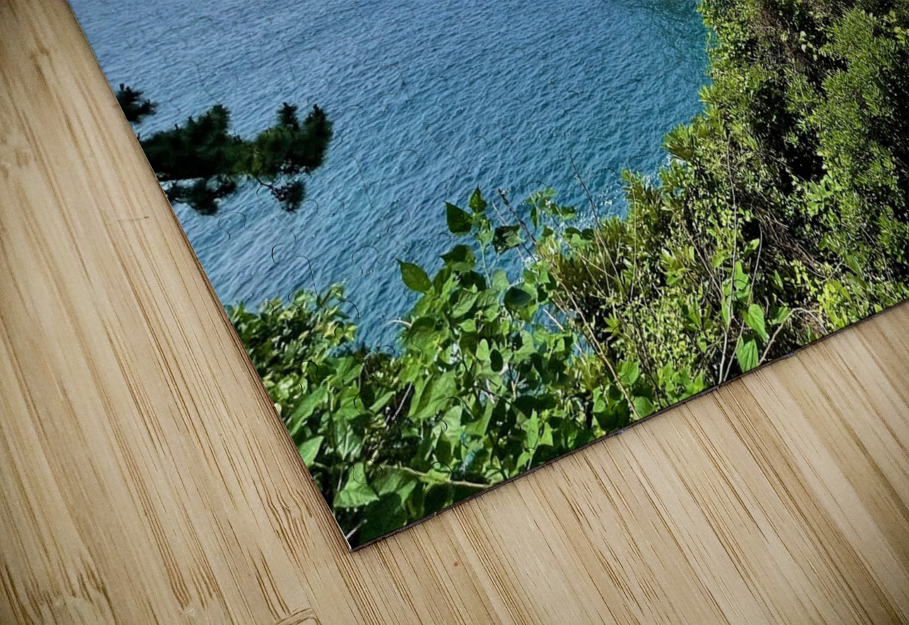 Oedolgae Alyssa Rae Puzzle