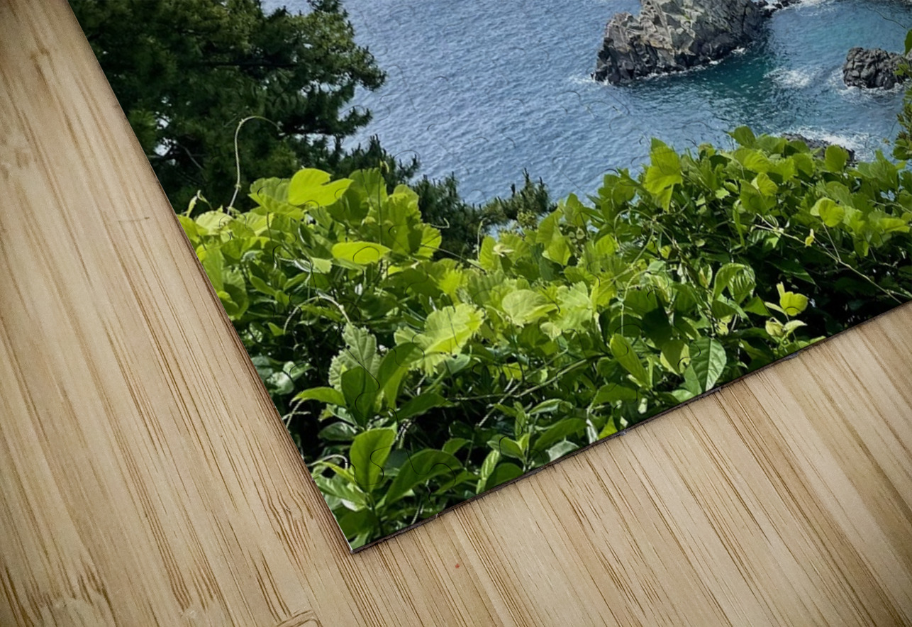 Oedolgae Rock Alyssa Rae Puzzle