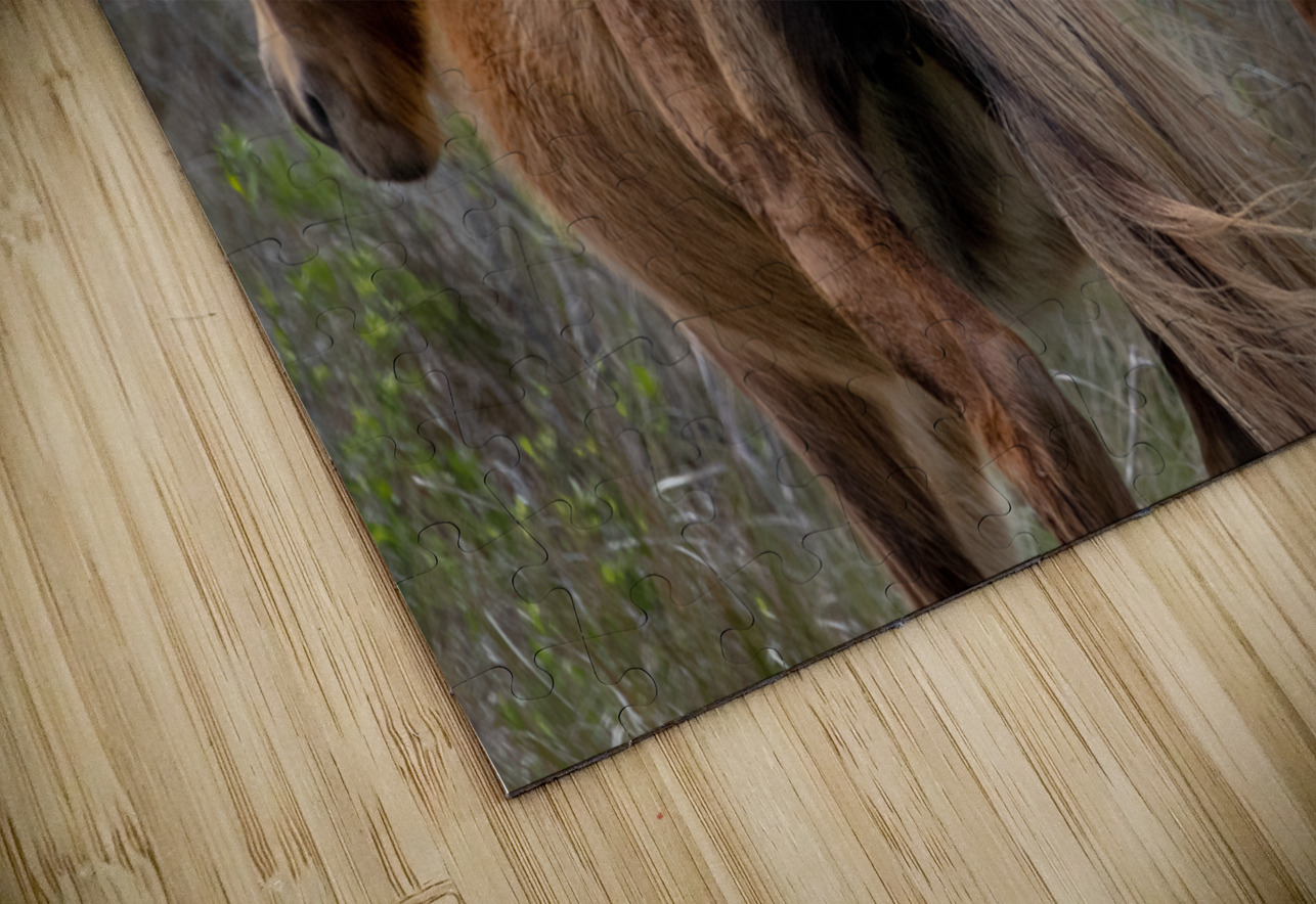 Paired Together Norma Brandsberg Photography Puzzle