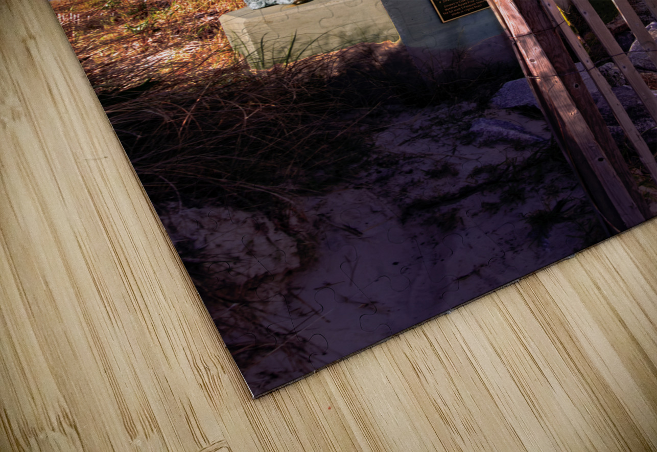 Charles City King Nepture Poseideon Norma Brandsberg Photography Puzzle