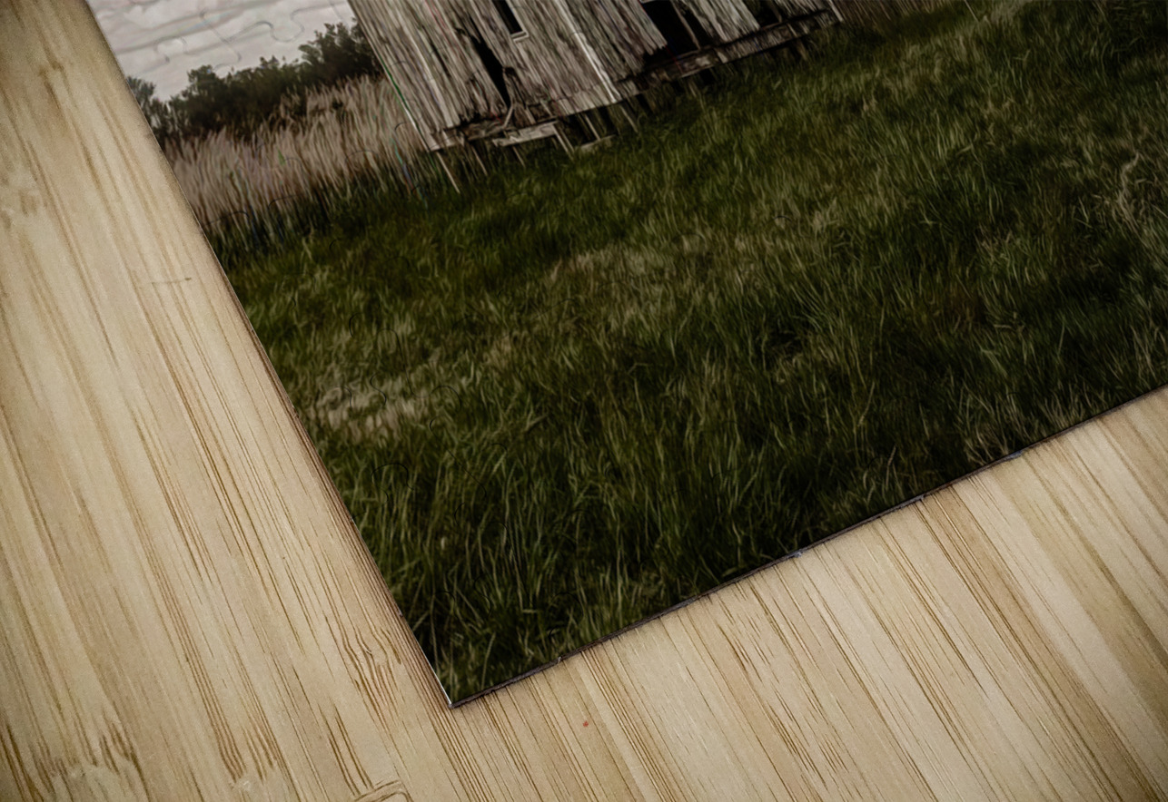 Virginia Eastern Shore Shack Norma Brandsberg Photography Puzzle