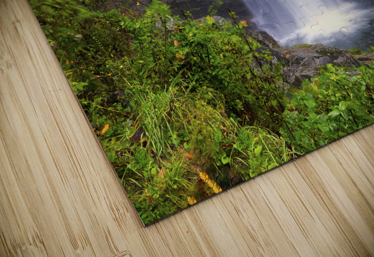 Looking Glass Falls in Autumn Shelia Hunt Photography Puzzle