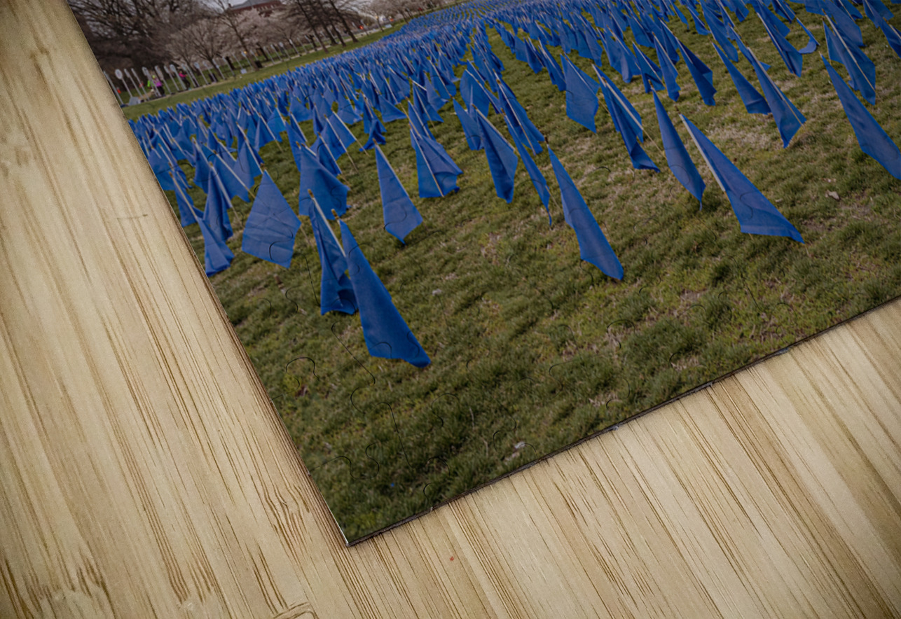 Flag DIsplay Geoffrey Prior Puzzle