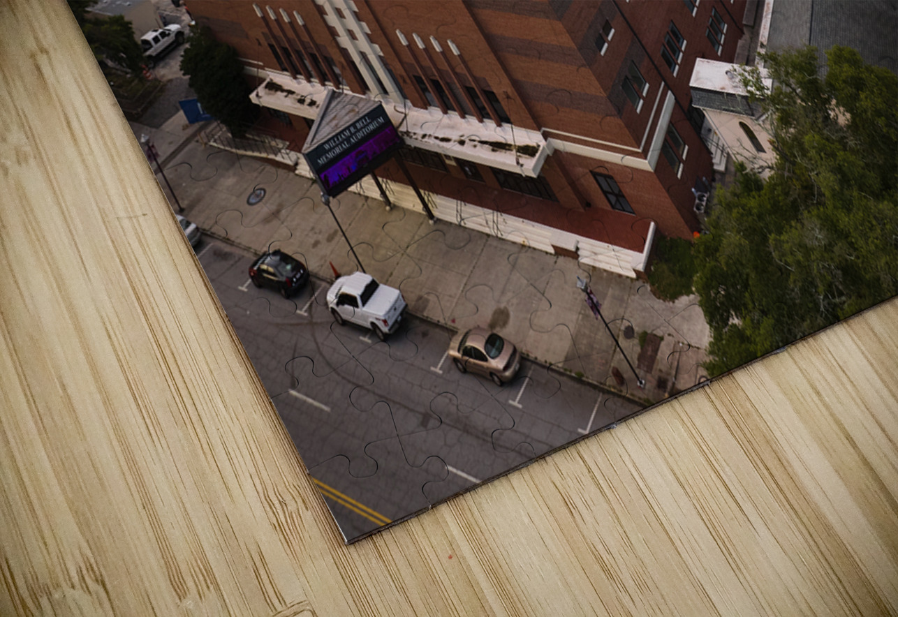 Bell Auditorium  James Broawn Arena Aerial View Sanjeev Singhal Puzzle
