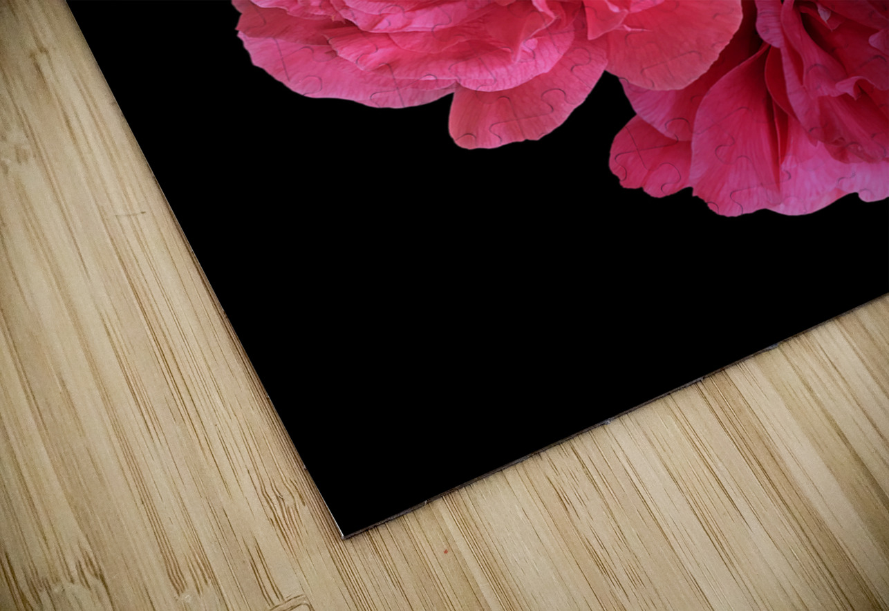 Pink Camelia on Black Vertical Gill Billington Puzzle