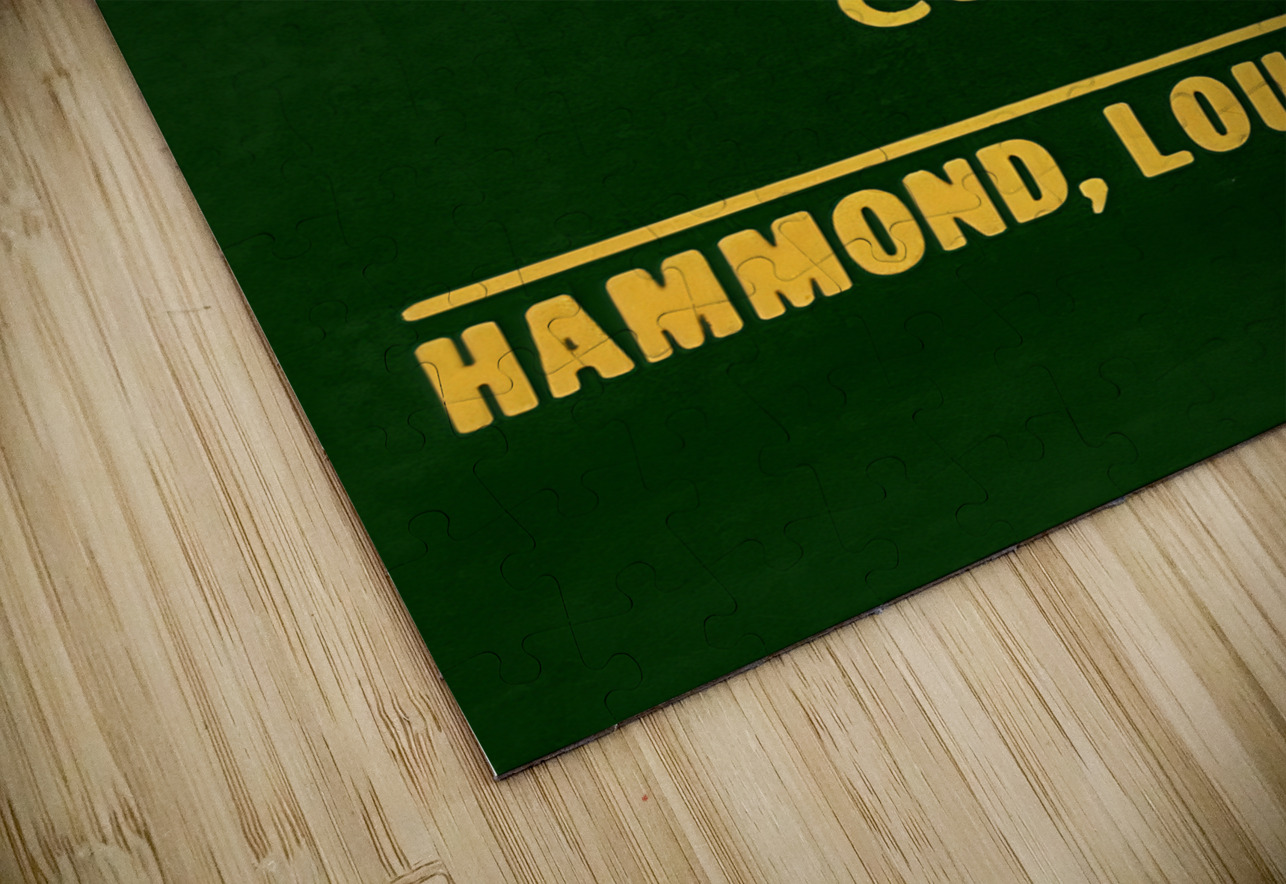 vintage southeastern college lions art Row One Brand Puzzle