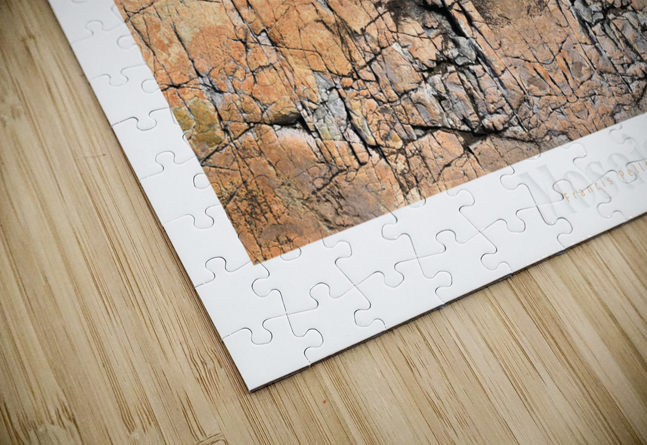 MOSAIC 9 Francis Pelletier Puzzle