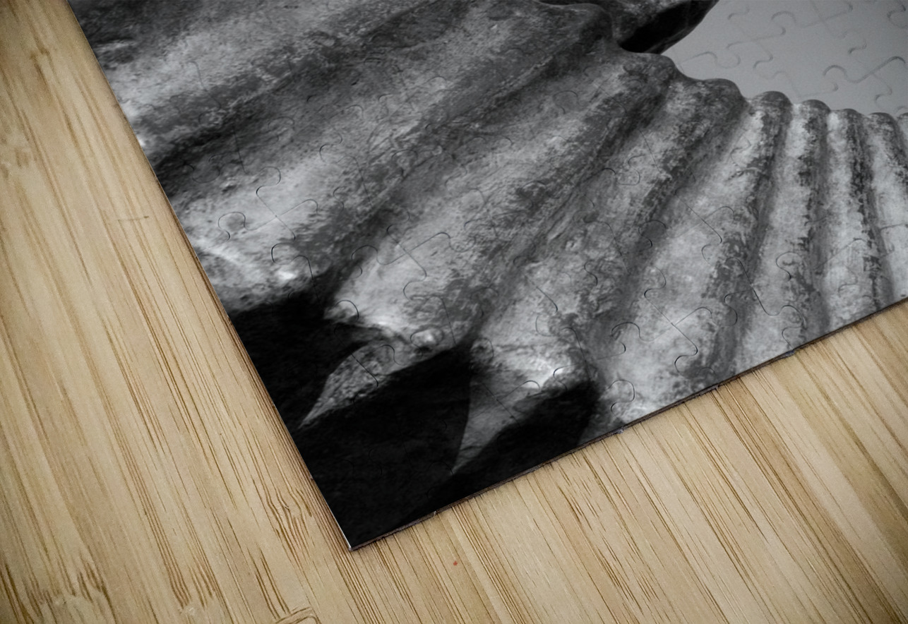 Curl DeepEarth Photography Puzzle