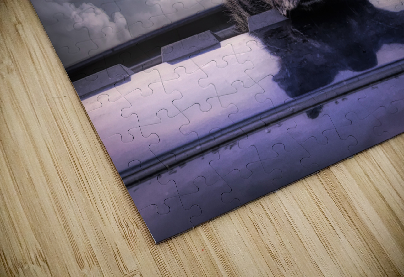 Along for the Ride Norma Brandsberg Photography Puzzle