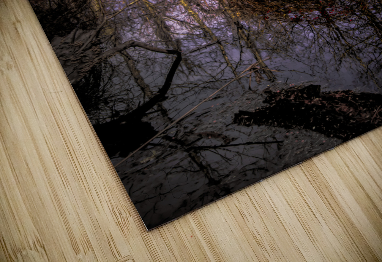 Marsh Colors of Winter Norma Brandsberg Photography Puzzle