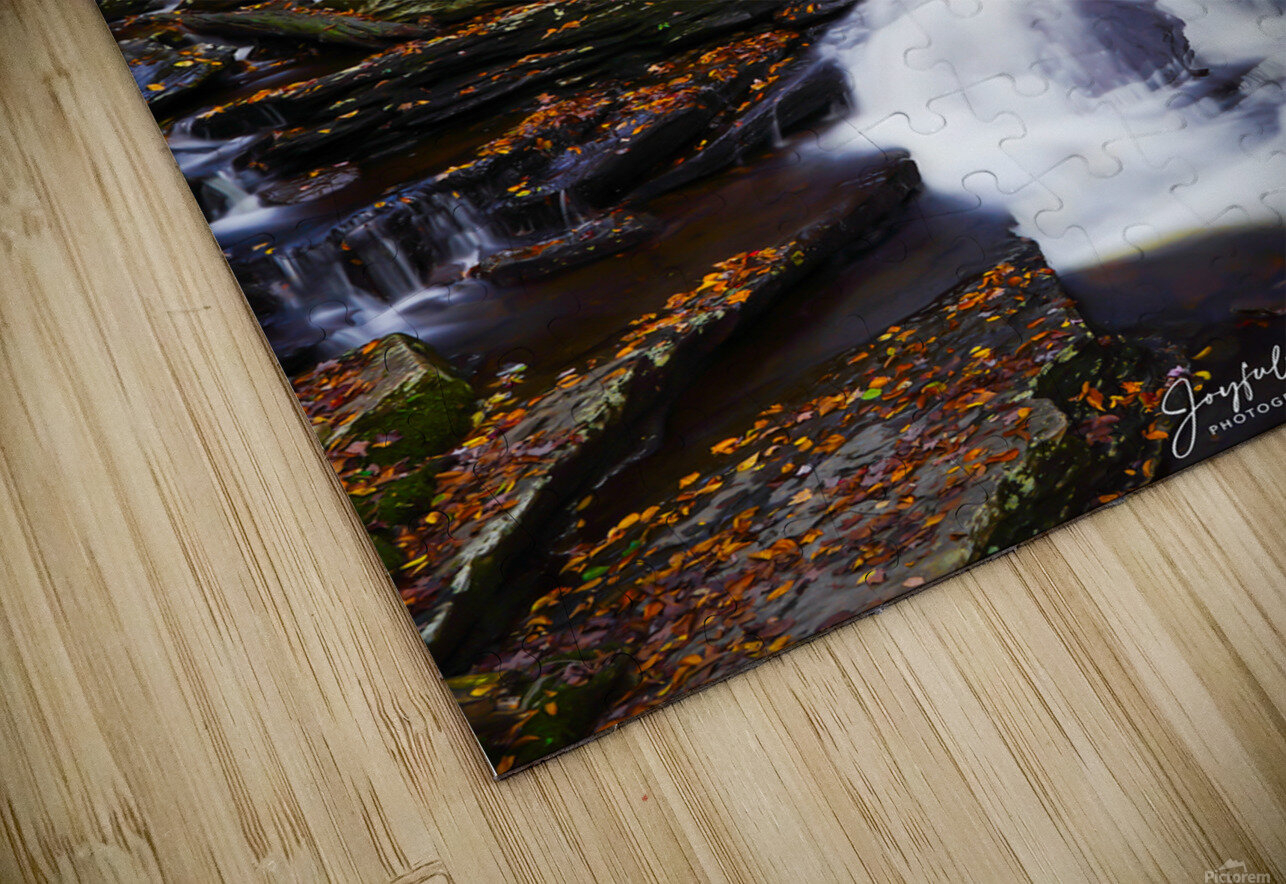 Ricketts Glen 5 Joyful Photography Puzzle